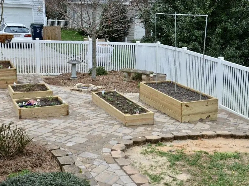 Patio and garden